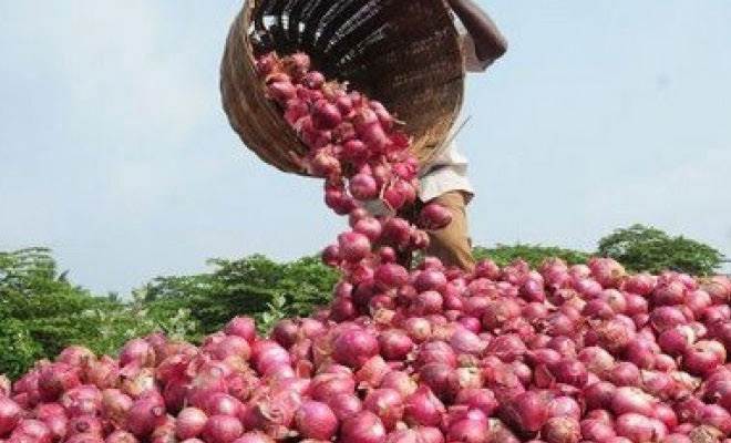 Onion prices shoot up to Rs 80/kg: Govt to facilitate