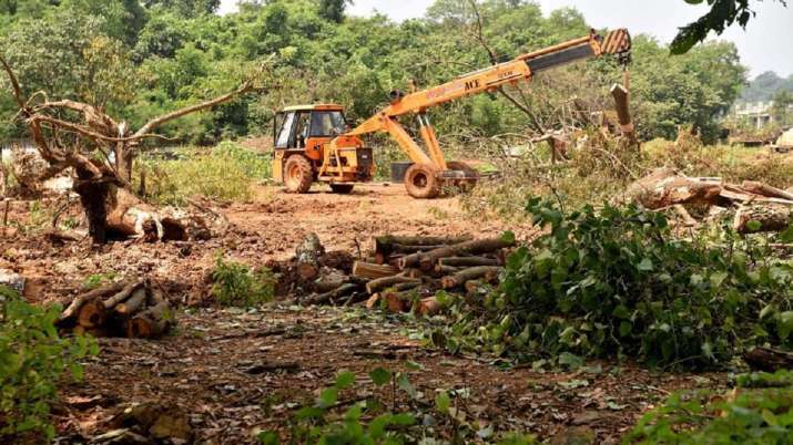 Prohibitory orders lifted from Mumbai's stir-hit Aarey Colony