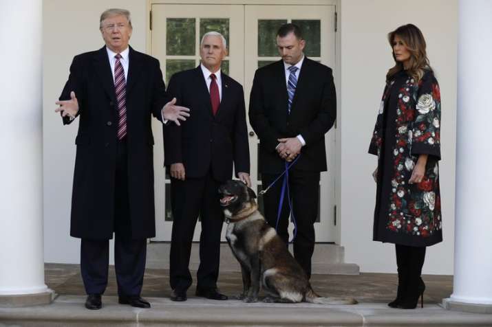 At White House, Trump honors dog injured in al-Baghdadi
