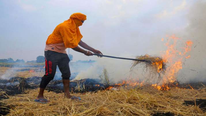 Stop stubble burning immediately: Delhi environment