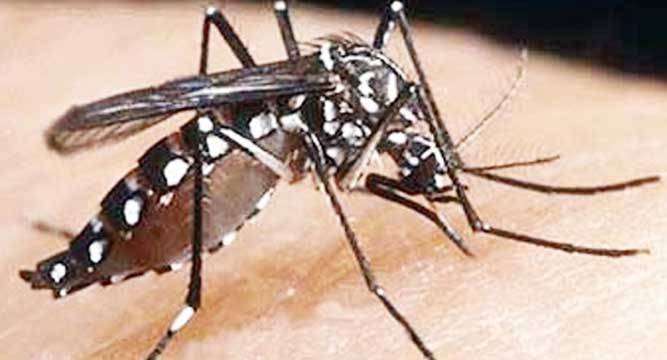 Malaria-endemic districts reduced to 63 in 2018