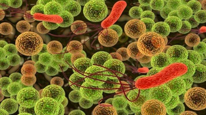 Israeli scientists develop bacteria which eat carbon dioxide