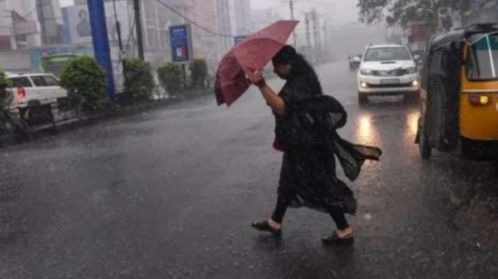 Heavy rains to lash Tamil Nadu today; schools, colleges in 3 districts closed