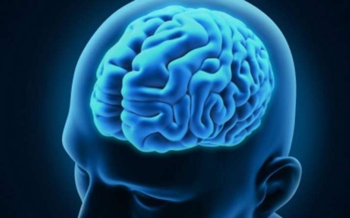 Brain related genetic disorder may be reversed using gene