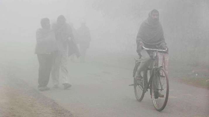 Delhi winters