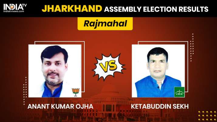 Rajmahal Constituency Result: BJP's Anant Kumar Ojha wins