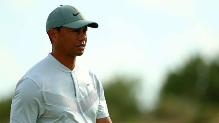brian lara, tiger woods, brian lara tiger woods, tiger woods golf, brian lara golf
