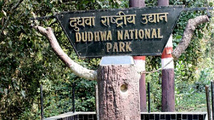 UP: 55-year-old farmer's half-eaten body found at Dudhwa