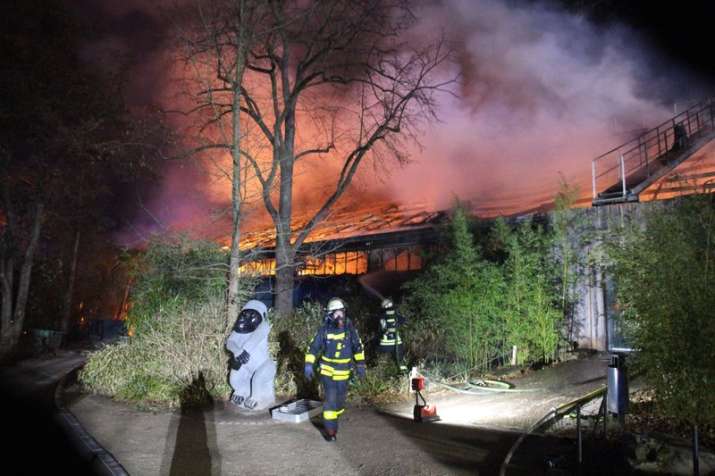 Fire at Germany's zoo kills dozens of chimps, orangutans and gorillas in
