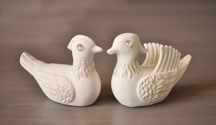 Vastu Tips: Keep Mandarin ducks at home for sweetness in married life 