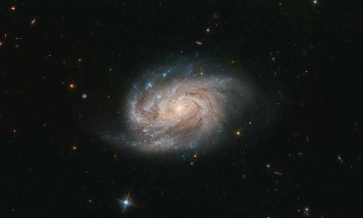 Nasa S Hubble Space Telescope Spots Bright Galaxy Located 200