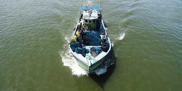 Marine scientists demand trawler ban within 12 nautical