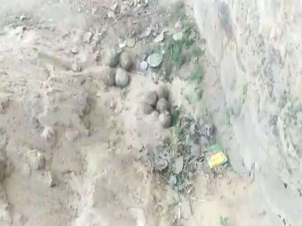 Dozens of crude bombs found in West Bengal village