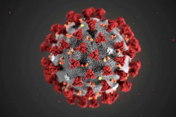 China's novel coronavirus toll soars to 636, total