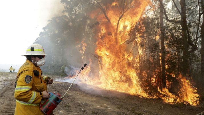 Sri Lanka donates Ceylon Tea for Australia bush fire victims