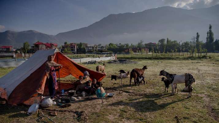 India Tv - 31,619 displaced families from PoJK registered after 1947: Govt