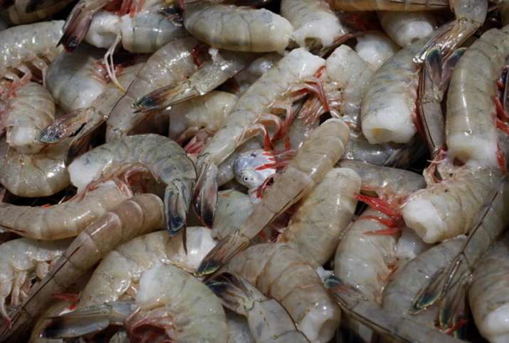 Coronavirus impacts global shrimp demand, prices: Report