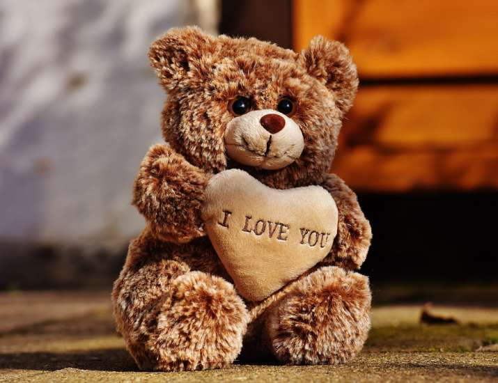 happy teddy day to husband