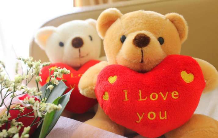 teddy day valentine week