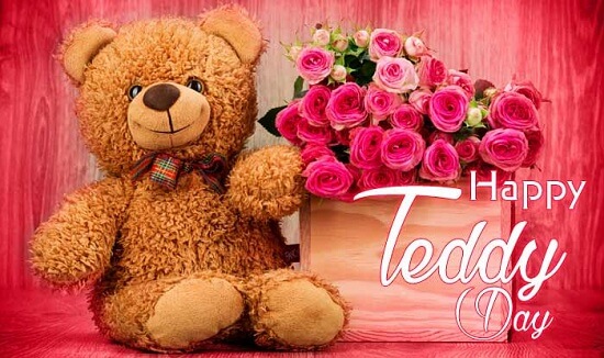 Image result for happy teddy day