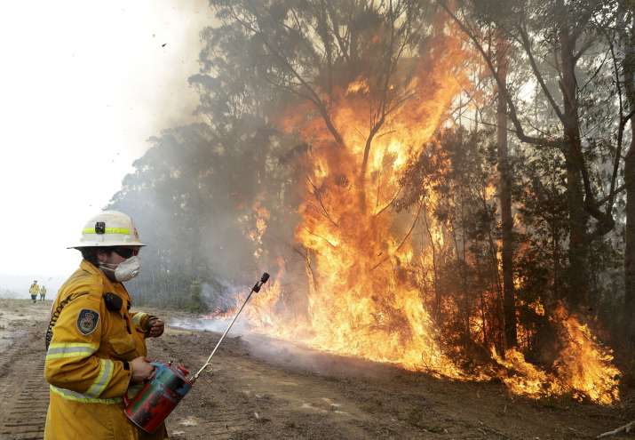 19 people killed in forest fire in China