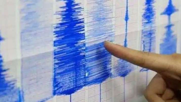 new zealand earthquake video