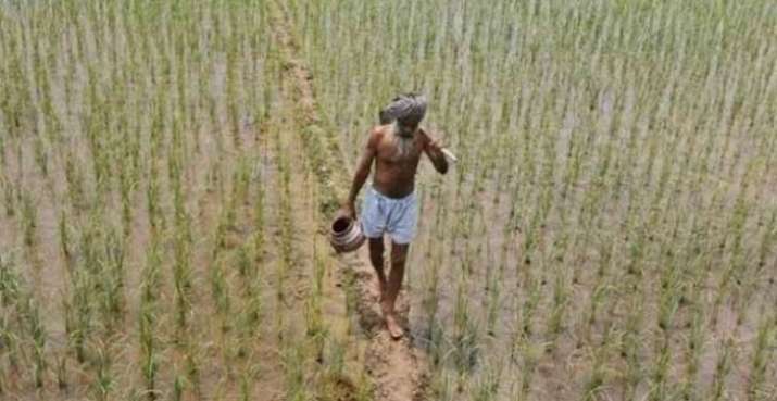 Lockdown: Maharashtra farmers seek Thackeray's nod to access land