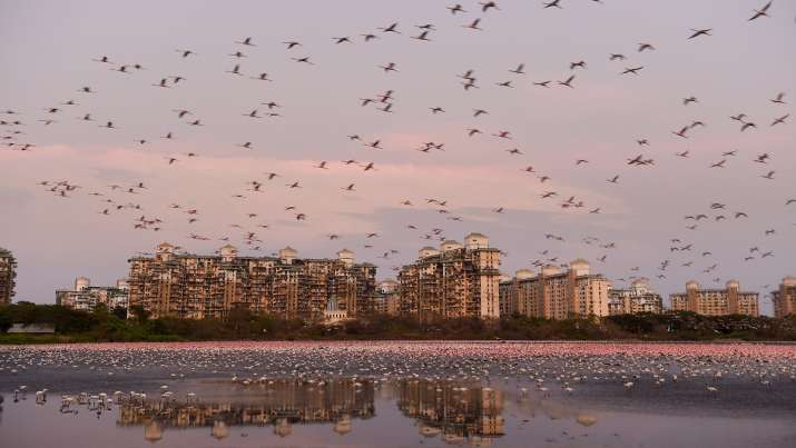 Maharashtra lockdown: Full list of COVID-19 hotspots in Mumbai