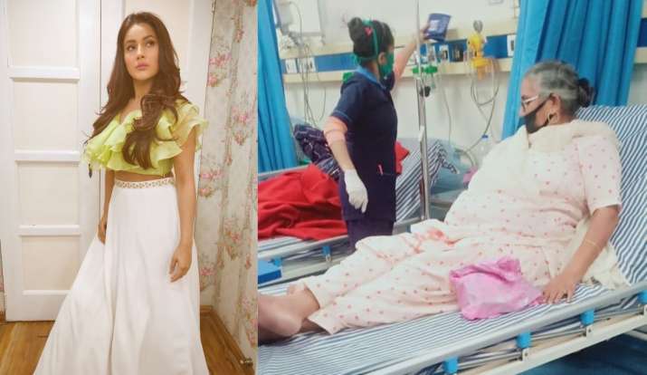 Shehnaaz Gill’s grandmother hospitalised, her father prays for speedy