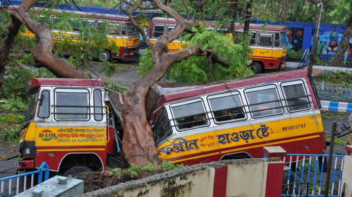 A bus ransacked by a fallen tree in the wake of Cyclone