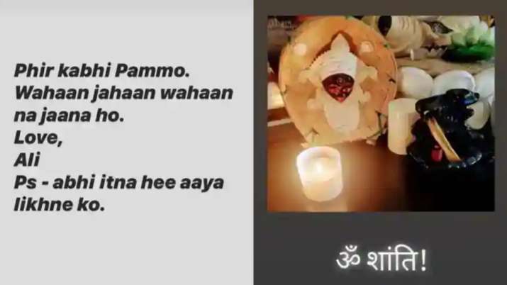 India Tv - Ali Fazal, Richa Chadha's Instagram stories