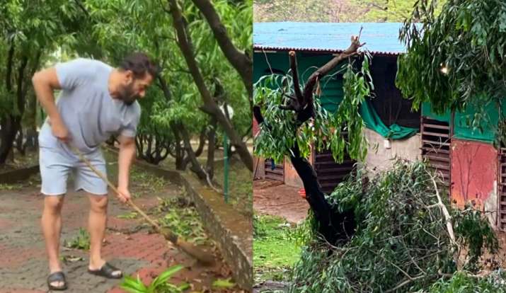 Salman Khan's Panvel farmhouse affected by cyclone Nisarga | Bollywood News  – India TV