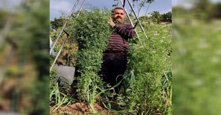 Uttarakhand farmer's tallest coriander plant enters Guinness Book of World Records