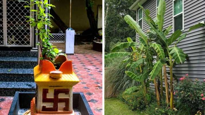 Vastu Tips: Planting Tulsi Or Banana Tree At Home Keeps The Environment ...