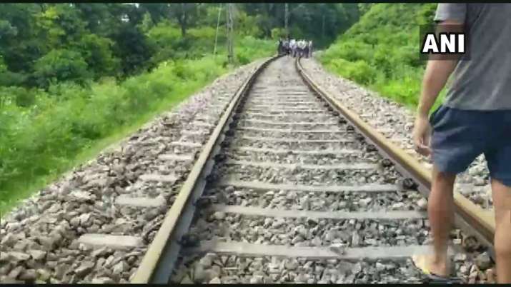 India Tv - Elephant dies after being hit by train in Uttarakhand