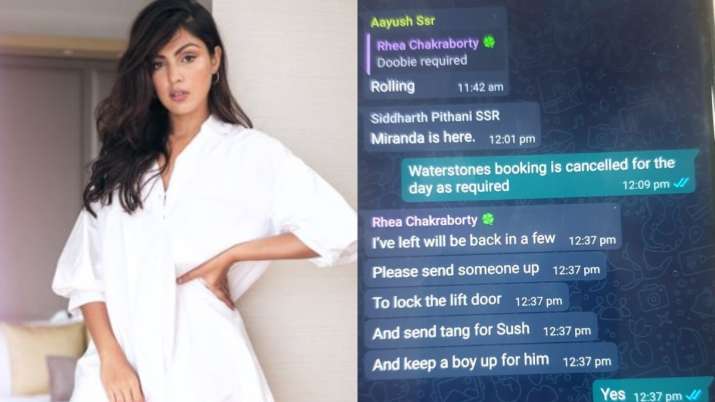 Sushant Singh Rajput sister leaks whatsapp chat Rhea Chakraborty Showik,  Samuel Miranda, Siddharth Pithani talk 'doobie' | Celebrities News – India  TV