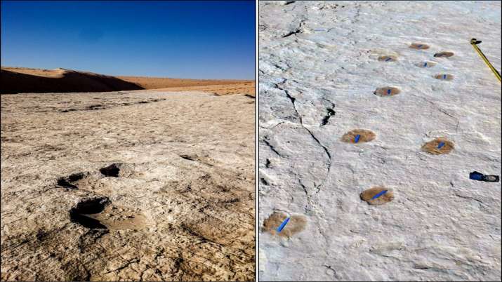 1,20,000-year-old Human Footprints Discovered In Saudi Arabia | PHOTOS ...