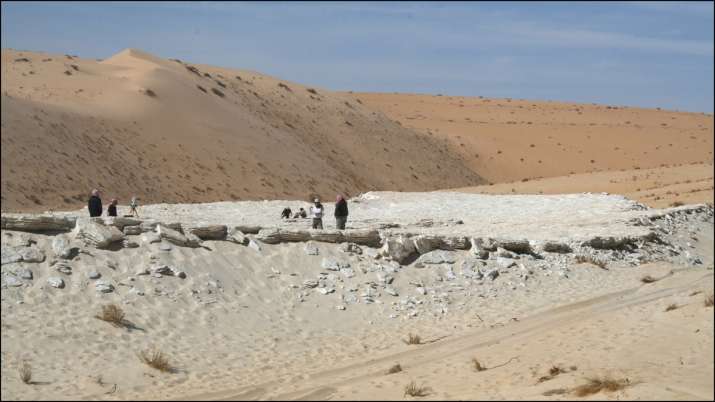India Tv - 1,20,000-year-old human footprints 