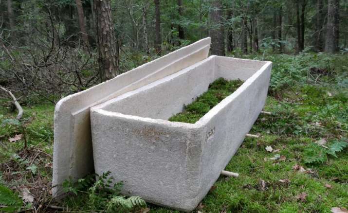 India Tv - The coffin also removes toxic substances and produces richer conditions in which to grow new trees 