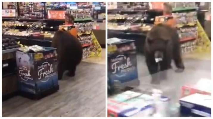 Bear checks out products at Supermarket in North California; pictures surfaces