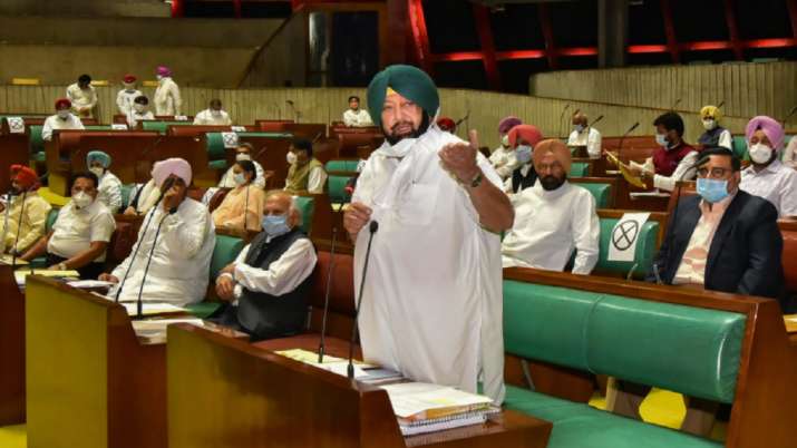 Punjab, farm bills, farm laws