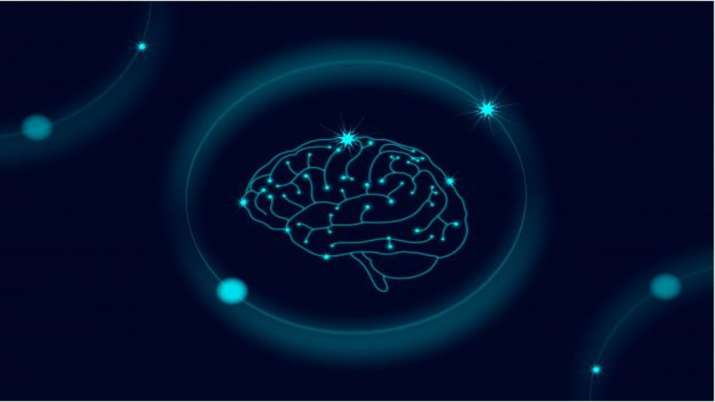 Regions of brain where serotonin promotes patience identified
