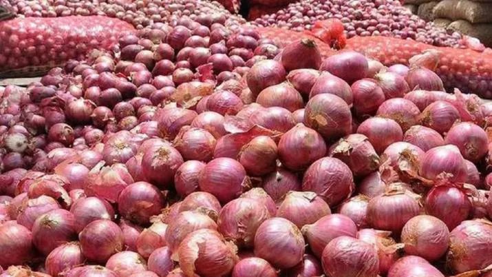 Govt bans export of onion seeds