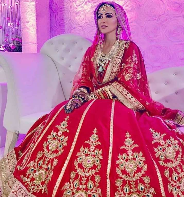 Sana Khan changes her name post wedding with Mufti Anas. Check unseen photos | Celebrities News – India TV