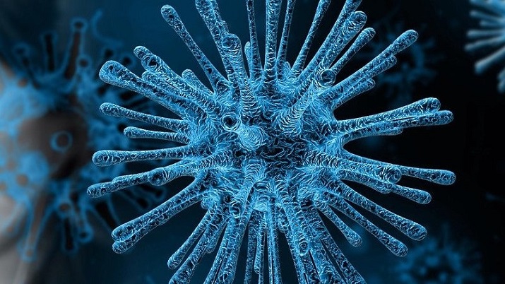 COVID-19, coronavirus