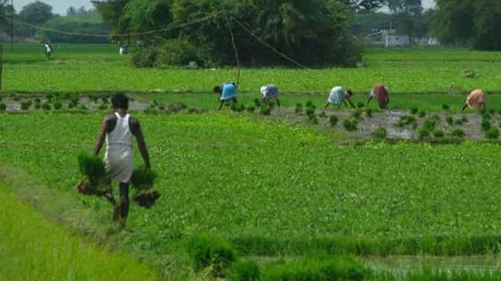 farm loan waiver