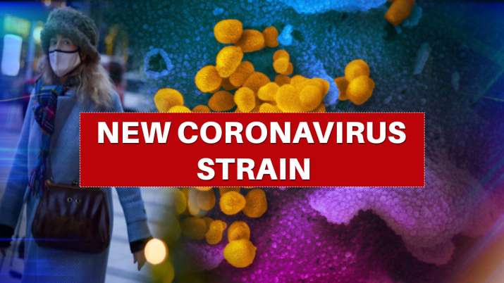new coronavirus strain