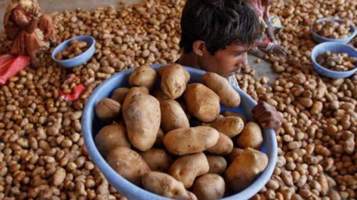 Potato price