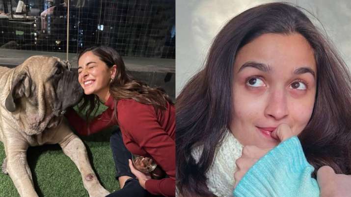 Alia Bhatt shares glimpse of Ananya Panday with Ranbir Kapoor's dog. Seen yet?