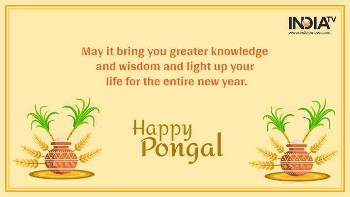 Happy Pongal 2021 Wishes Quotes Facebook Whatsapp Messages Greetings Sms Hd Images And Gifs Books News India Tv